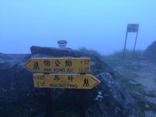 徐向青：“120”口诀快速识别脑卒中